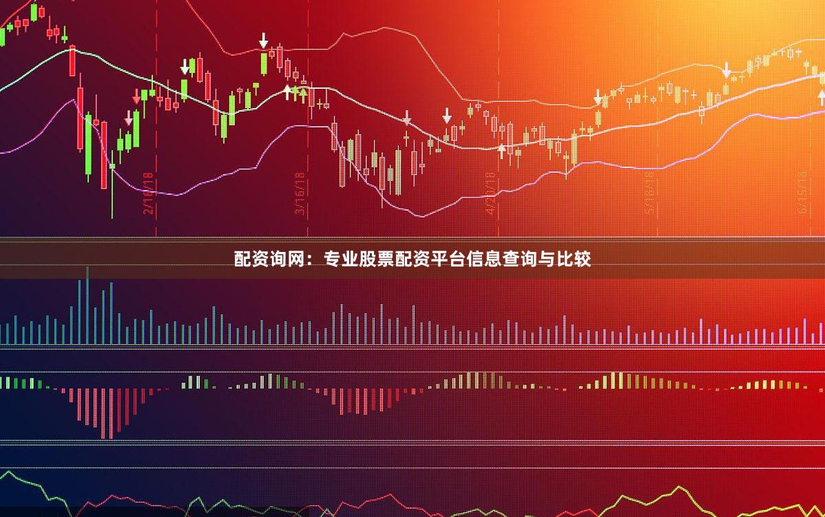 配资询网：专业股票配资平台信息查询与比较