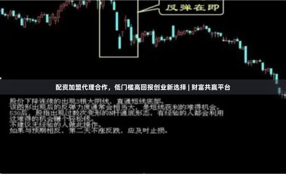 配资加盟代理合作，低门槛高回报创业新选择 | 财富共赢平台