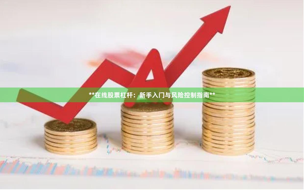 **在线股票杠杆：新手入门与风险控制指南**